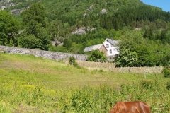 Noorwegen 02