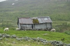 Noorwegen 65