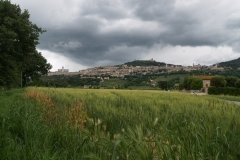 P6012853