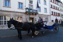 Elephant Hotel